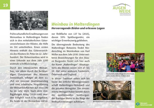 Thementafel "Weinbau in Malterdingen" (Punkt 19)